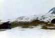 19980228-wenigschnee-02_01.jpg