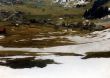 19980228-wenigschnee-02_02.jpg