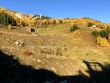 20181020-c-sedrun-5251.jpg