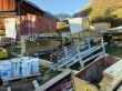 20181020-c-sedrun-5271.jpg