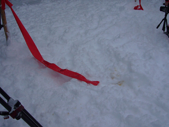 9. Dezember 2006
