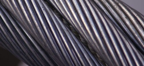 13. November 2006 (Detail aus dem vorigen Bild)
