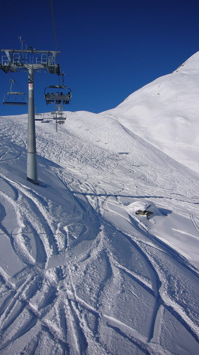 8. Februar 2008
