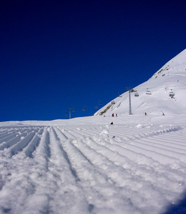 8. Februar 2008

