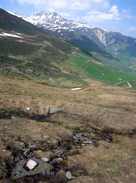25. Mai 2009
