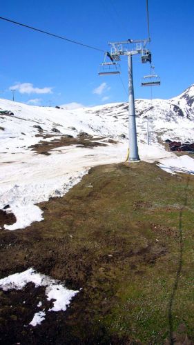 14. April 2007: Blühende Krokus bei 20 Grad
