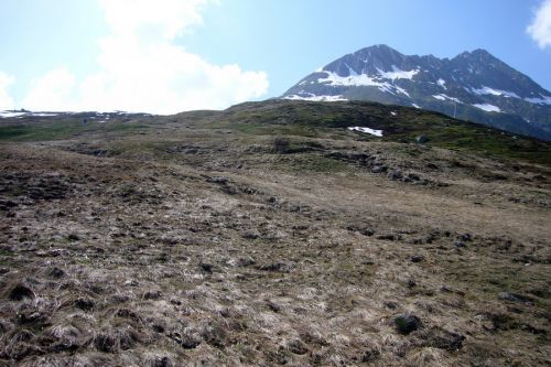 25. Mai 2009
