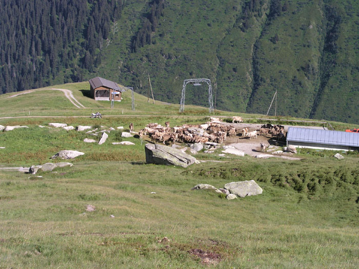 Juli 2006
