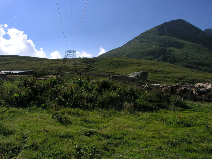 Juli 2006
