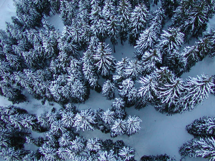 Aus der Kabine der 1. Sektion, Februar 2004 (Foto: Lucas Jacomet)
