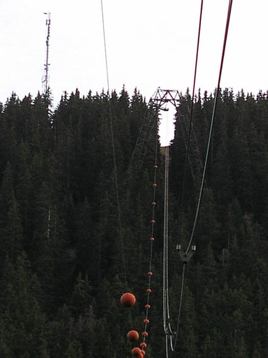 November 2005
