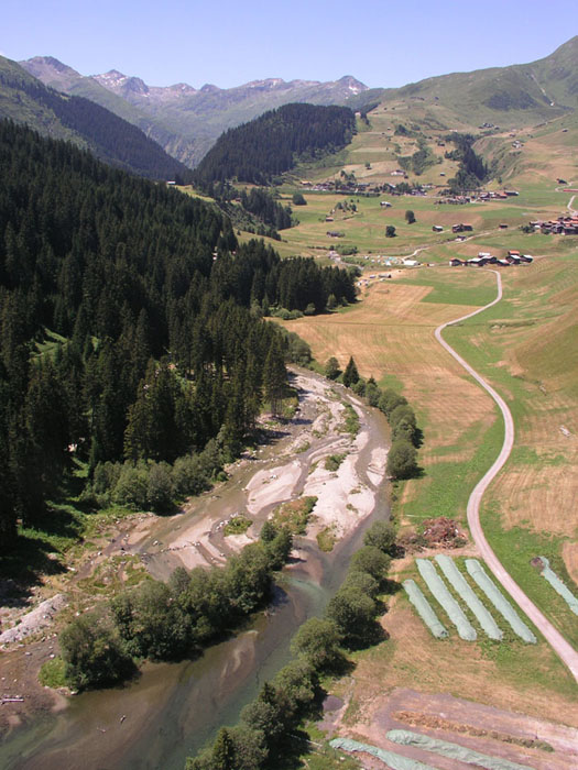 Juli 2006
