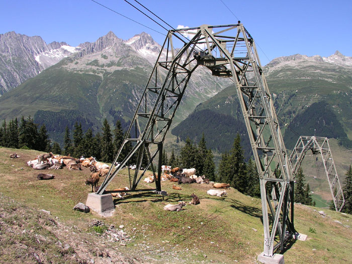 Juli 2006
