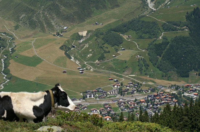 Juli 2006
