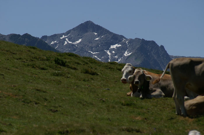 Juli 2006
