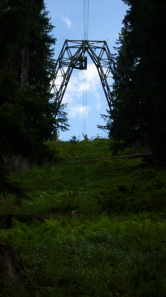 Juli 2007
