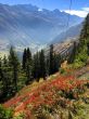 Dateiname=20181021-sedrun-5315.jpg
Dateigröße=592KB
Abmessungen: 941x1255
hinzugefügt am: 24. Oktober 2018 20181021-sedrun-5315.jpg