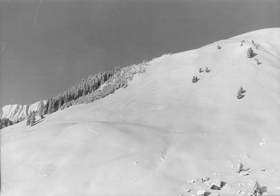 Eine Lawine zerstört Teile des Skiliftes Drun - hier eine Lawine am Gegenhang von Caschlé (ca. 1979, Quelle: Archiv Bergbahnen Sedrun)
