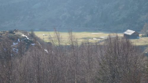 8. April 2007
