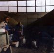19881111-valval-anfang-03.jpg