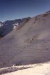 19900207-tiarms.jpg