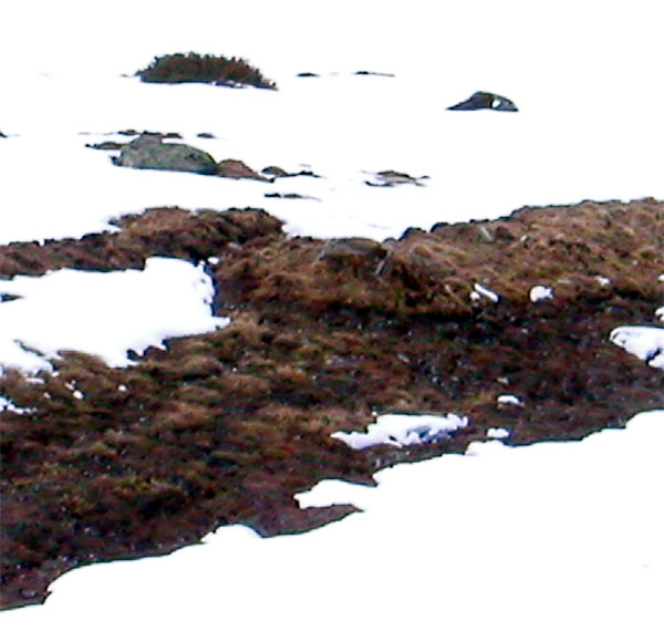 April 2006: Ex-Trassee und Betonsockel des alten Skilifts im Val Val immer noch sichtbar
