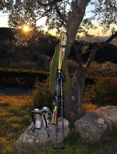 Sonnenaufgang in Seillans - im Dezember haben wir noch diesen und die anderen Olivenbäume abgeerntet, heute gehts auf die 45 Autominuten entfernten Pisten!
