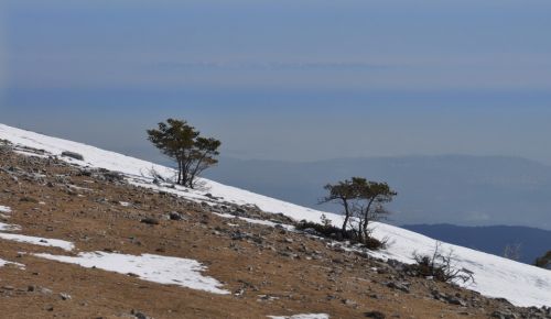 Eine deutlichere Korsika-Ansicht vom Nachmittag inkl. Schneeberge, hier vorgezogen, 23. Februar 2012

