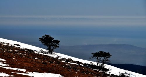 Korsikas Schneeberge (nachmittags), 23. Februar 2012
