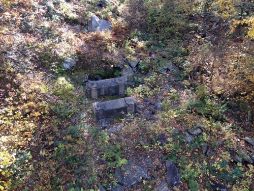 Butternut, 13. Oktober 2013
