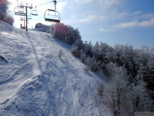 20180227-d-rousset-021.jpg