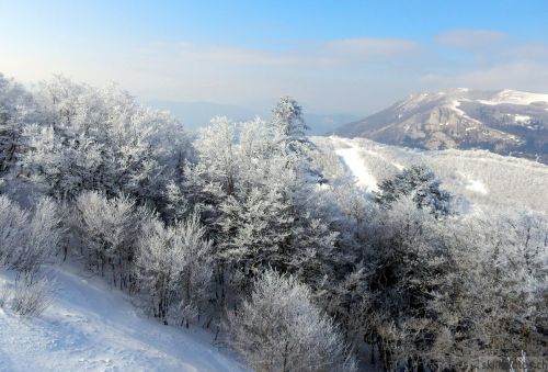20180227-d-rousset-022.jpg
