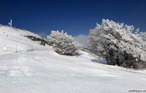20180227-d-rousset-039.jpg