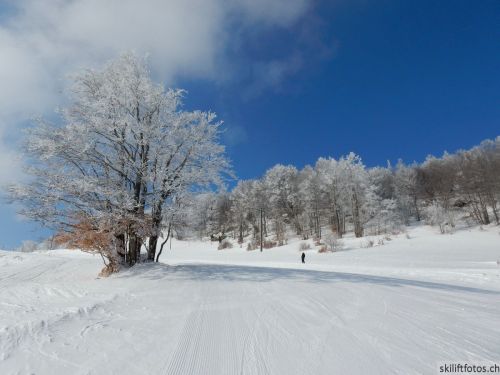 20180227-d-rousset-056.jpg