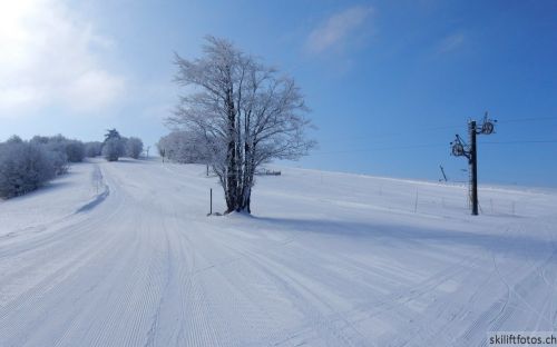 20180227-d-rousset-082.jpg