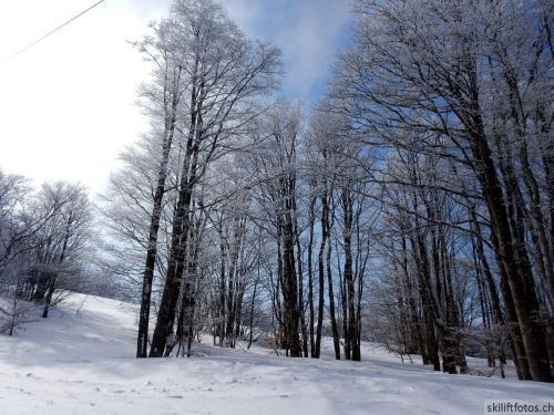 20180227-d-rousset-098.jpg