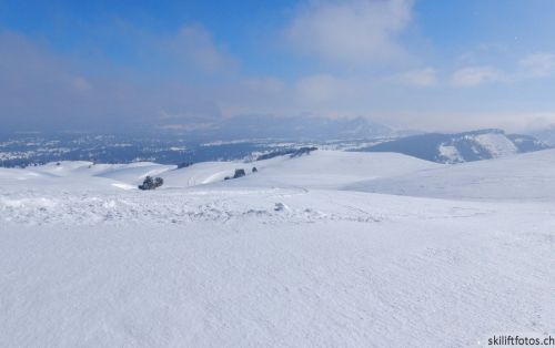 20180227-d-rousset-119.jpg