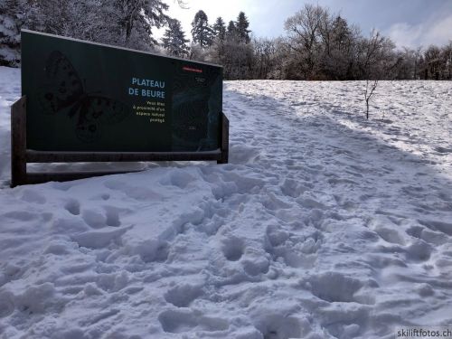 20180227-d-rousset-194.jpg