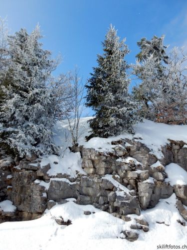 20180227-d-rousset-203.jpg