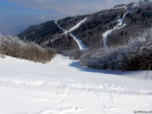 20180227-d-rousset-345.jpg