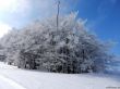 Dateiname=20180227-d-rousset-211.jpg
Dateigröße=336KB
Abmessungen: 1200x900
hinzugefügt am: 10. März 2018 20180227-d-rousset-211.jpg
