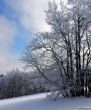 Dateiname=20180227-d-rousset-216.jpg
Dateigröße=447KB
Abmessungen: 997x1200
hinzugefügt am: 10. März 2018 20180227-d-rousset-216.jpg