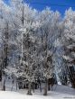 Dateiname=20180227-d-rousset-217.jpg
Dateigröße=552KB
Abmessungen: 908x1200
hinzugefügt am: 10. März 2018 20180227-d-rousset-217.jpg