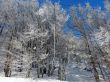 Dateiname=20180227-d-rousset-308.jpg
Dateigröße=554KB
Abmessungen: 1200x900
hinzugefügt am: 10. März 2018 20180227-d-rousset-308.jpg