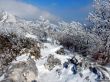 Dateiname=20180227-d-rousset-336.jpg
Dateigröße=446KB
Abmessungen: 1200x900
hinzugefügt am: 10. März 2018 20180227-d-rousset-336.jpg