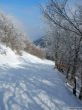 Dateiname=20180227-d-rousset-339.jpg
Dateigröße=351KB
Abmessungen: 900x1200
hinzugefügt am: 10. März 2018 20180227-d-rousset-339.jpg