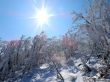 Dateiname=20180227-d-rousset-344.jpg
Dateigröße=366KB
Abmessungen: 1200x900
hinzugefügt am: 10. März 2018 20180227-d-rousset-344.jpg