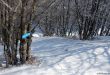 Dateiname=20180227-d-rousset-349.jpg
Dateigröße=406KB
Abmessungen: 1200x825
hinzugefügt am: 10. März 2018 20180227-d-rousset-349.jpg
