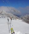 Dateiname=20180227-d-rousset-364.jpg
Dateigröße=283KB
Abmessungen: 1038x1200
hinzugefügt am: 10. März 2018 20180227-d-rousset-364.jpg