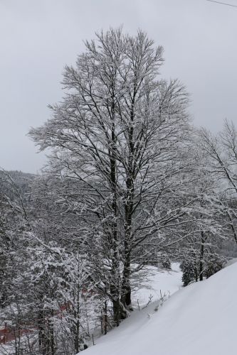 Skilift Köpfle, Muggenbrunn (Gastfoto von Stefan&Jens), 2014

